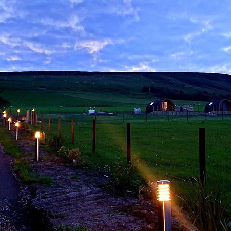 Lilly'S Lodges Orkney Hedgehog Lodge Finstown Екстер'єр фото