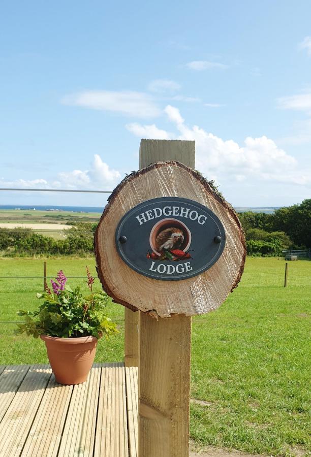 Lilly'S Lodges Orkney Hedgehog Lodge Finstown Екстер'єр фото