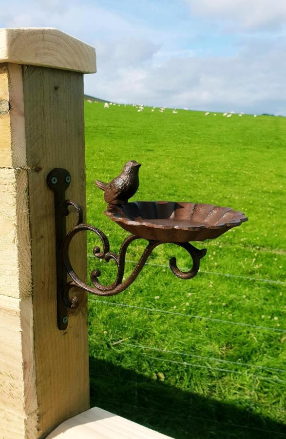Lilly'S Lodges Orkney Hedgehog Lodge Finstown Екстер'єр фото