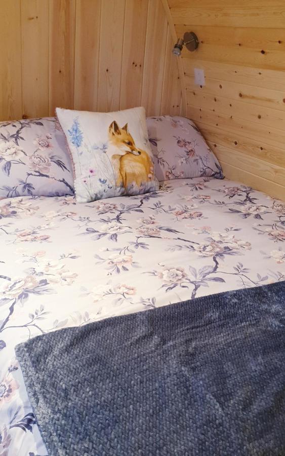 Lilly'S Lodges Orkney Hedgehog Lodge Finstown Екстер'єр фото