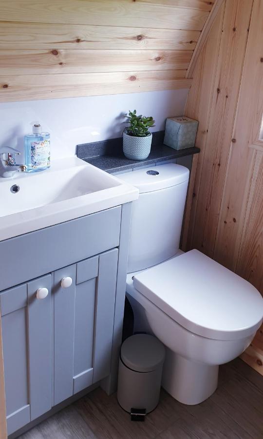 Lilly'S Lodges Orkney Hedgehog Lodge Finstown Екстер'єр фото